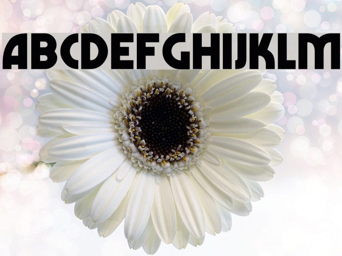 Marbolo-Normal Font examples