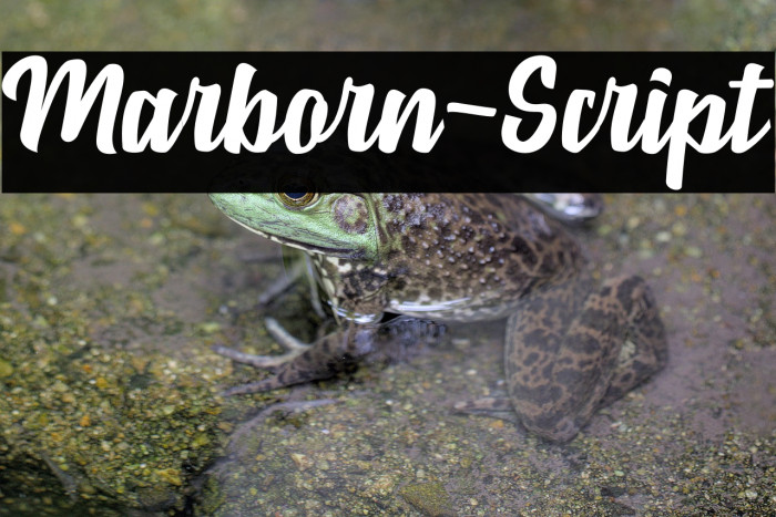 Marborn-Script Example 1