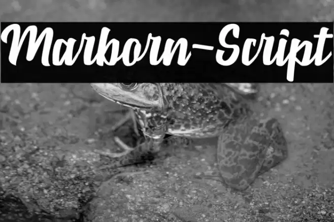 Marborn-Script Font examples