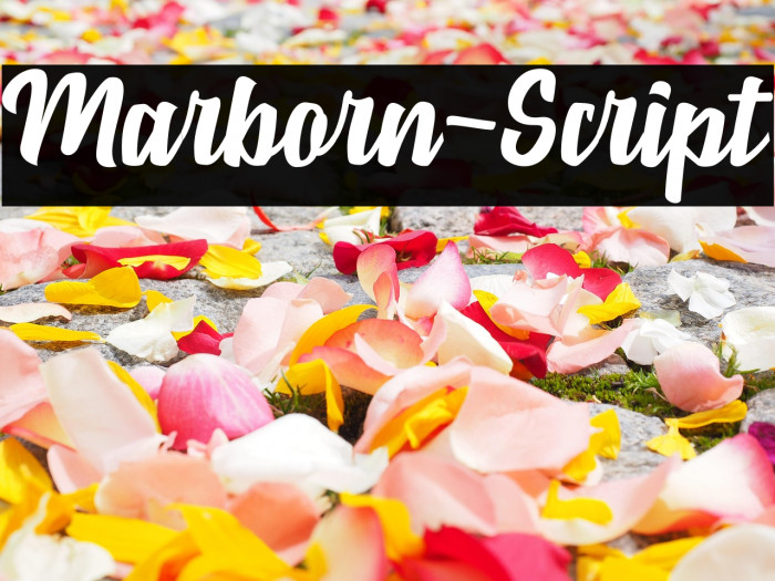 Marborn-Script Example 3