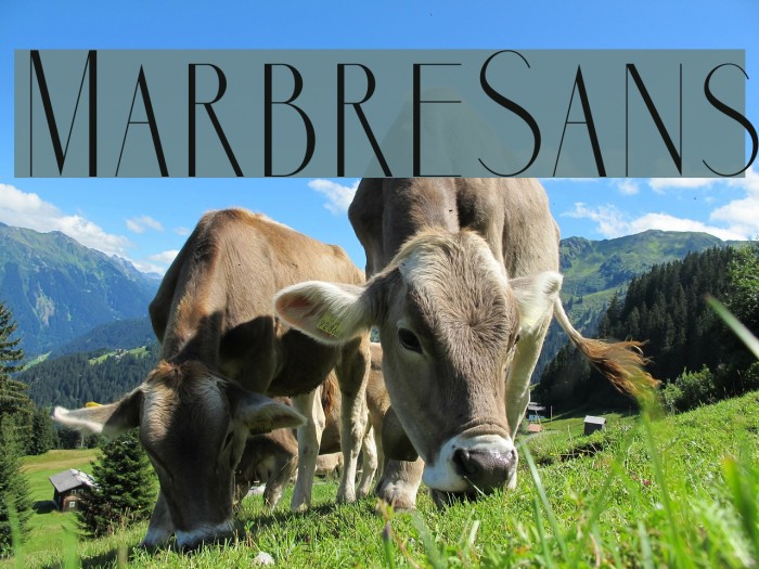 MarbreSans Font examples