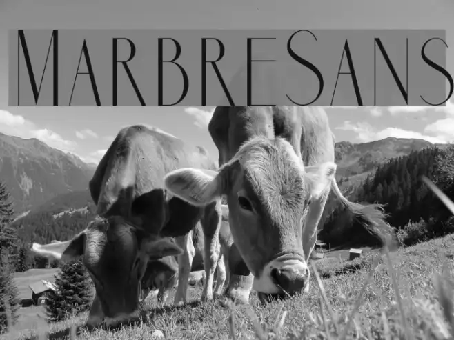 MarbreSans Example 1