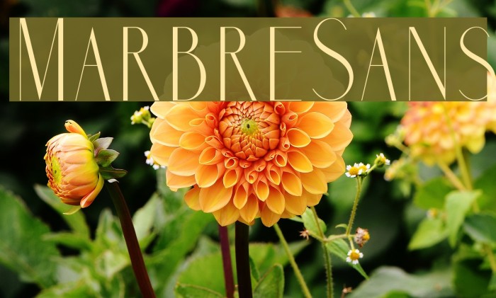 MarbreSans Font examples