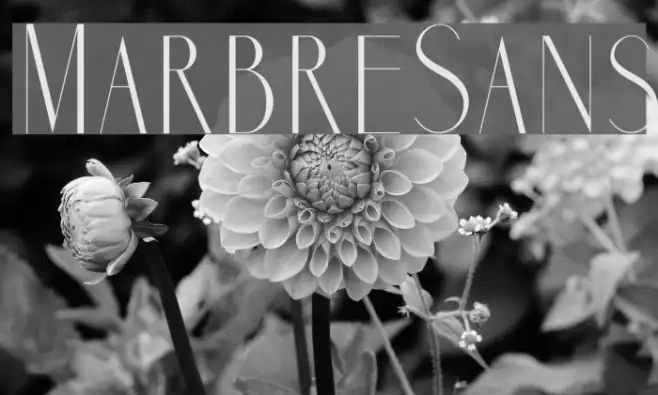 MarbreSans Example 3