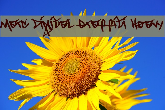Marc Digital Graffiti Heavy Font examples