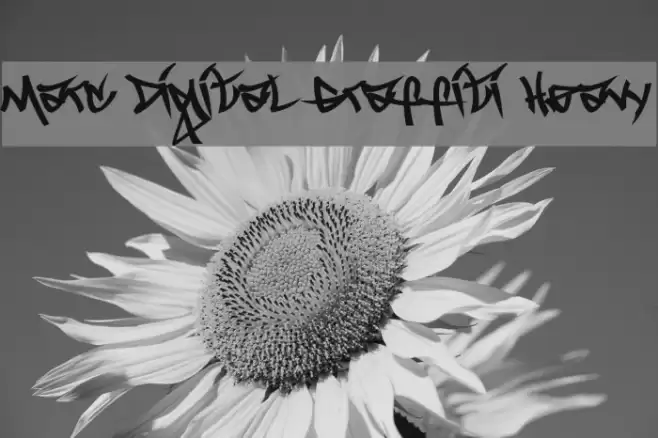 Marc Digital Graffiti Heavy Font examples