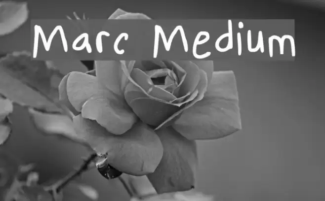 Marc Medium Font examples