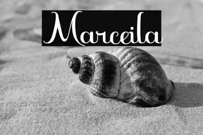 Marceila Font examples