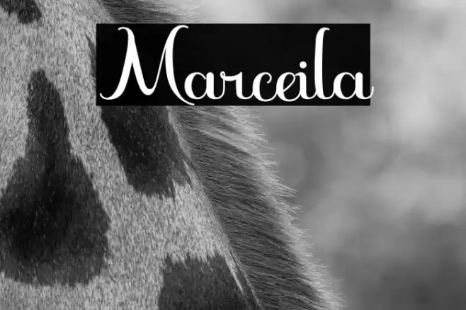 Marceila Font examples