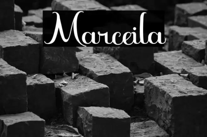 Marceila Font examples