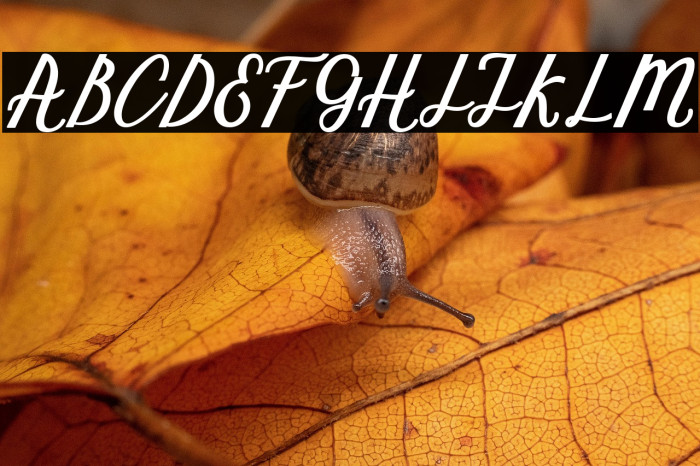 MarcelaScript Example 2