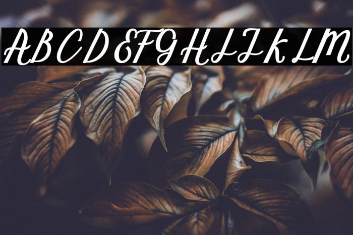 MarcelaScript Example 3