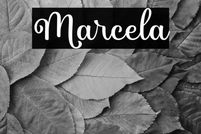 Marcela Font examples