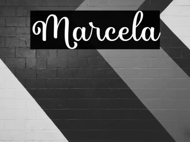 Marcela Font examples