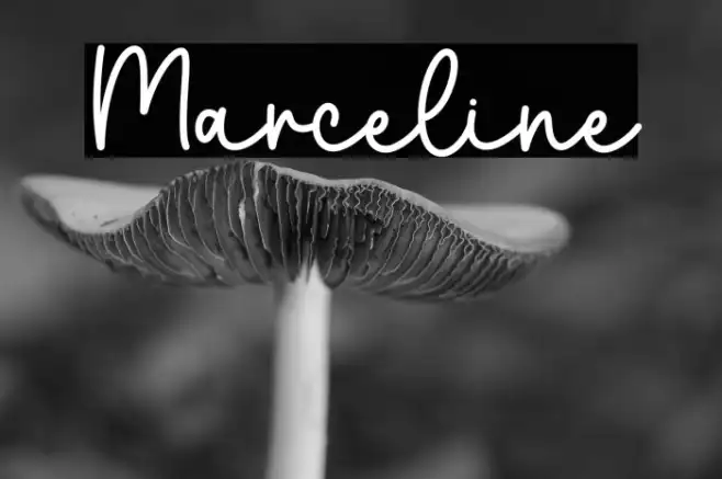 Marceline Example 1