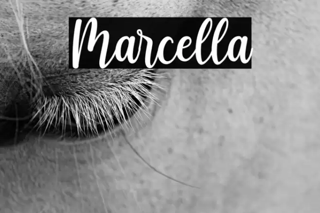 Marcella Font examples