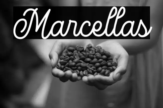 Marcellas Example 2