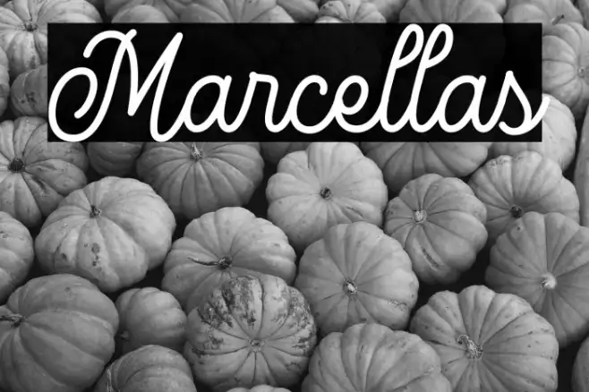 Marcellas Example 3