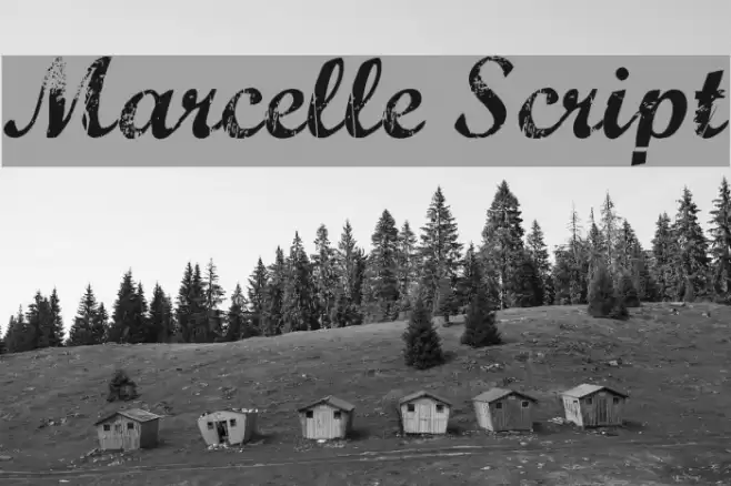 Marcelle Script Font examples