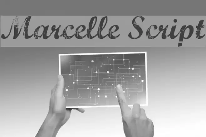 Marcelle Script Font examples