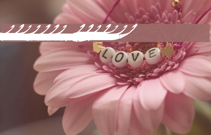 Marcelle Swashes Example 2