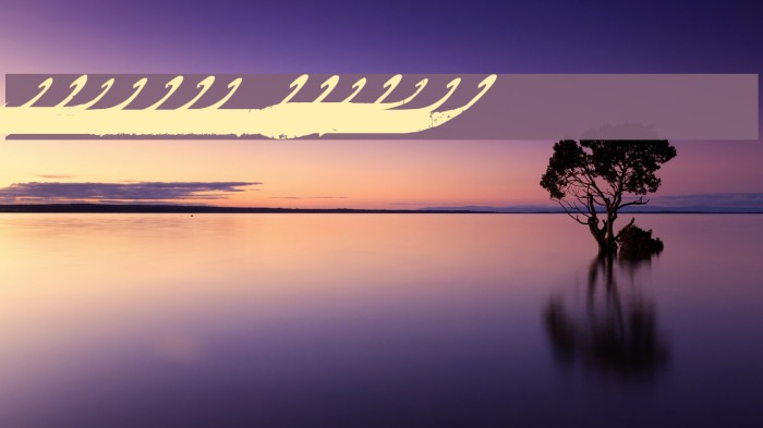 Marcelle Swashes Example 3