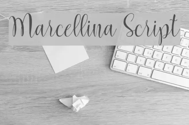 Marcellina Script Example 1