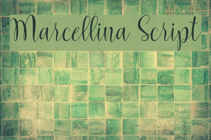 Marcellina Script Font examples