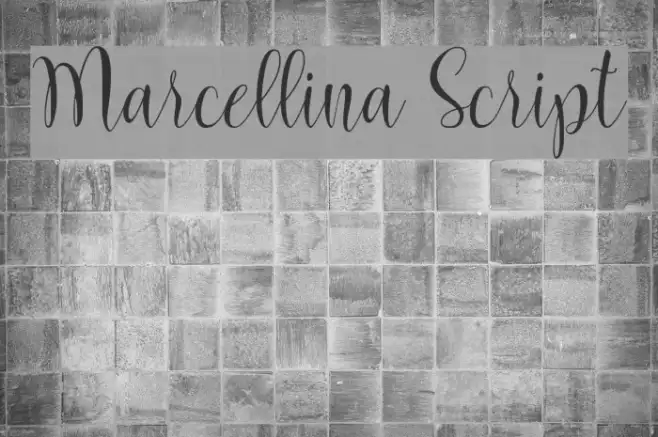 Marcellina Script Example 2