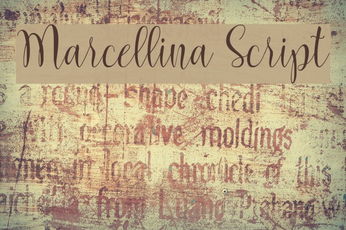 Marcellina Script Font examples