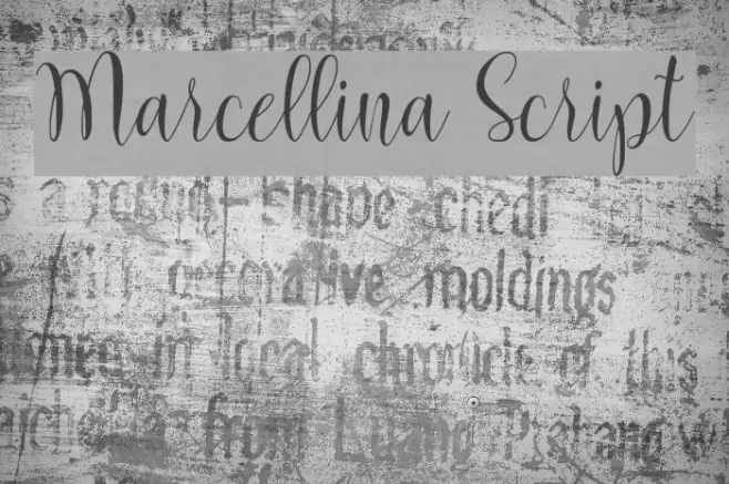 Marcellina Script Example 3