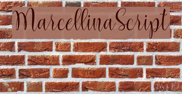 MarcellinaScript Font examples