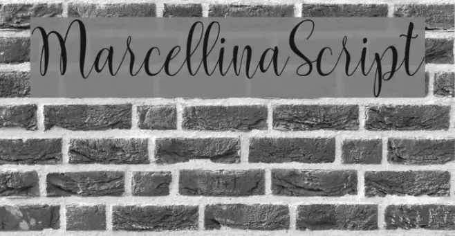 MarcellinaScript Example 1