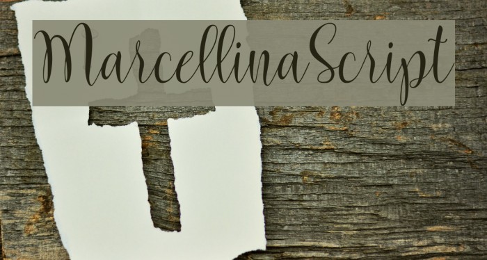 MarcellinaScript Font examples