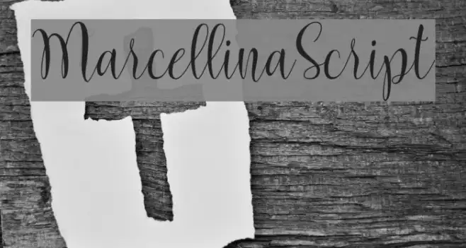 MarcellinaScript Example 2