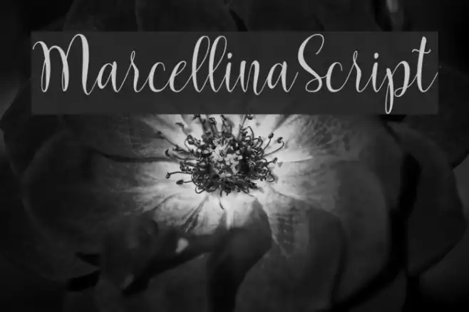MarcellinaScript Example 3