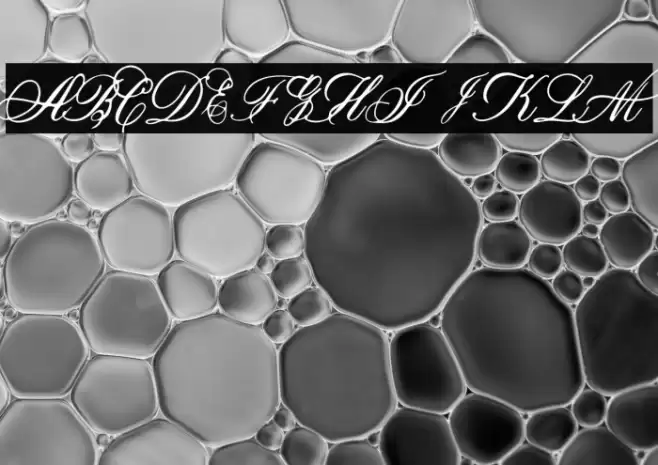 Marcellines Font examples