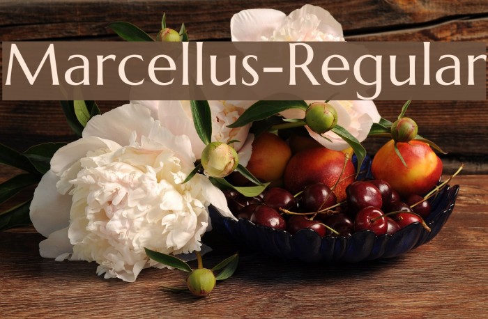 Marcellus-Regular Font examples