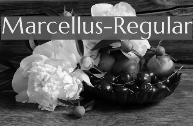 Marcellus-Regular Example 1