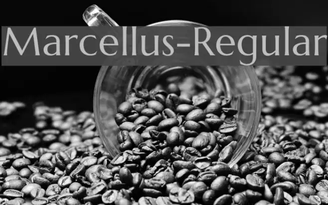 Marcellus-Regular Example 2