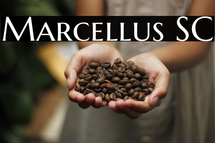 Marcellus SC Font examples