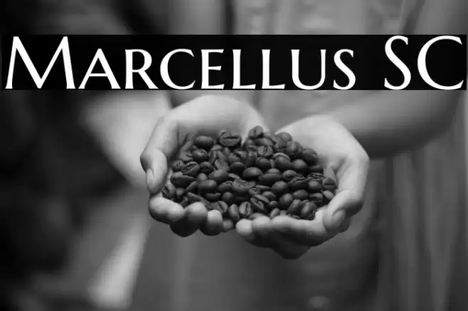 Marcellus SC Шрифта examples