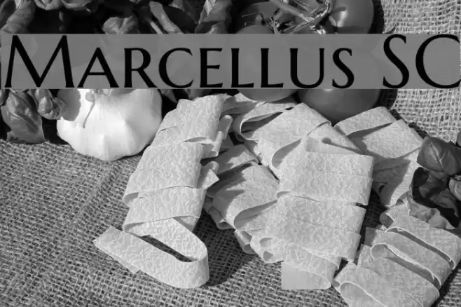 Marcellus SC Font examples