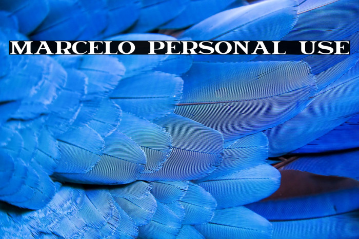 Marcelo Personal Use Example 1