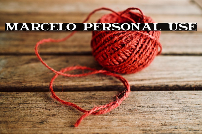 Marcelo Personal Use Example 2