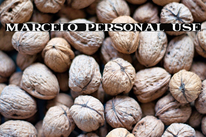 Marcelo Personal Use Example 3