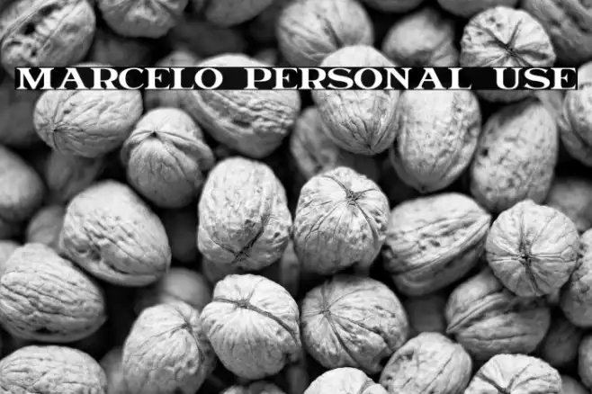 Marcelo Personal Use Example 3