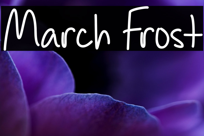 March Frost Example 1
