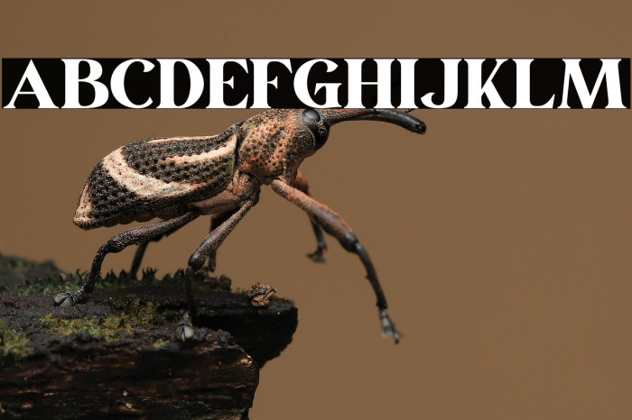 March Personal Use Example 1