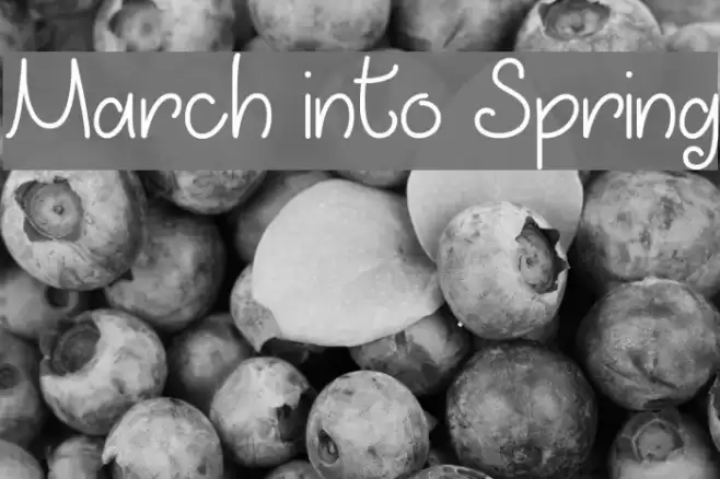 March into Spring Font examples